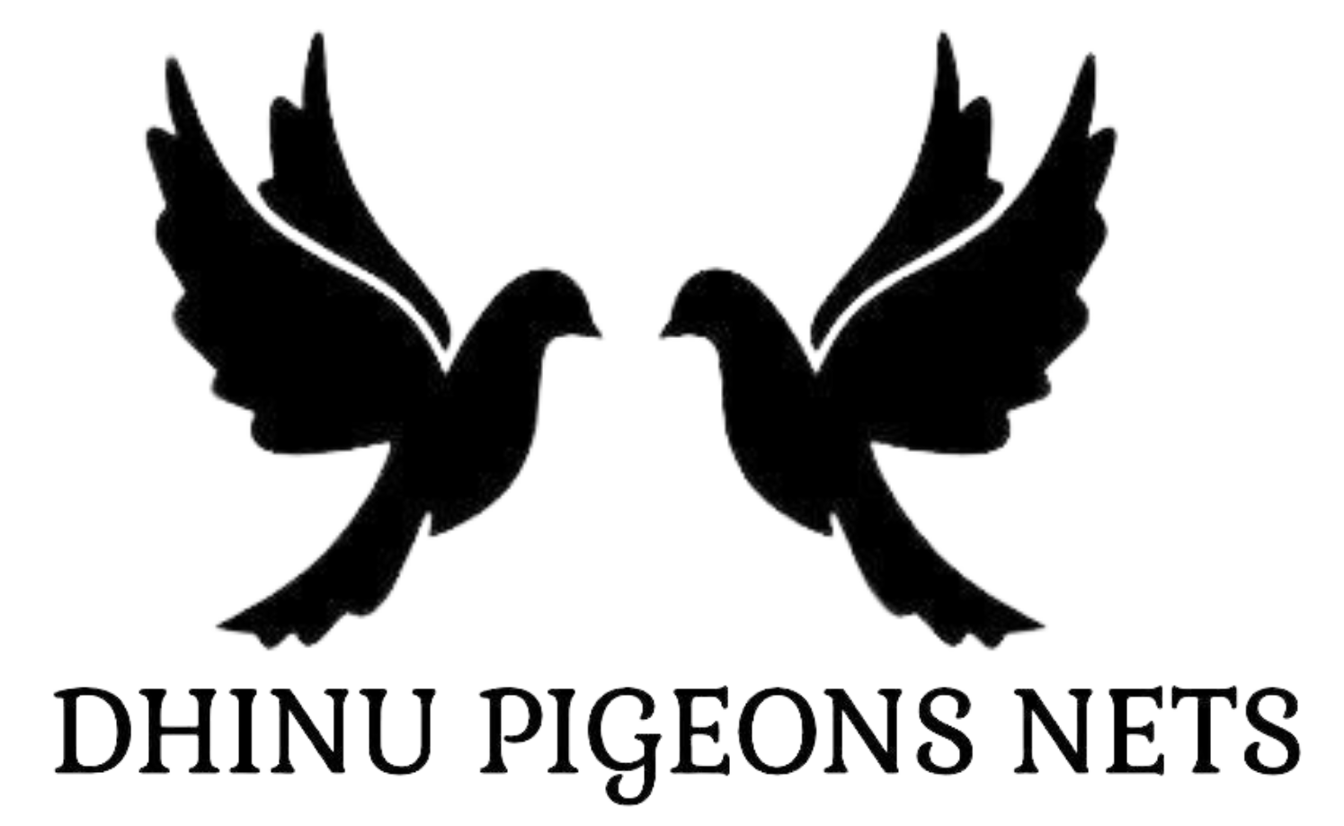 Dhinu Pigeon Birds Nets in Chennai